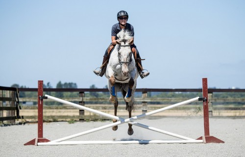 Фото, Урок верховой езды