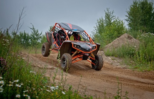 Фото, Прогулянка на багі лісом