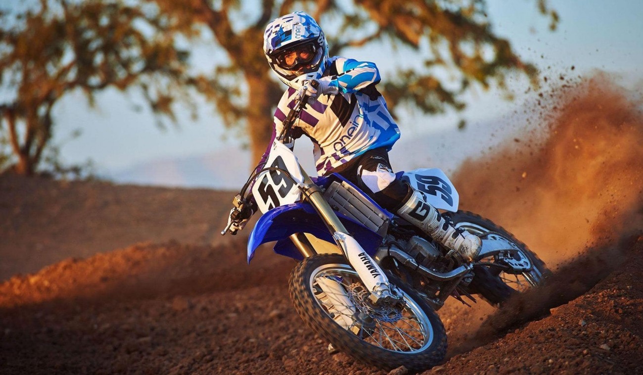 Мототур на питбайке по лесу