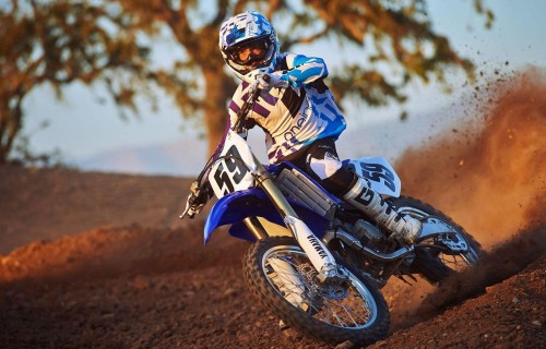 Фото, Мототур на пітбайку по лісу