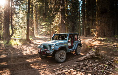 Фото, Трофі-рейд на джипі 