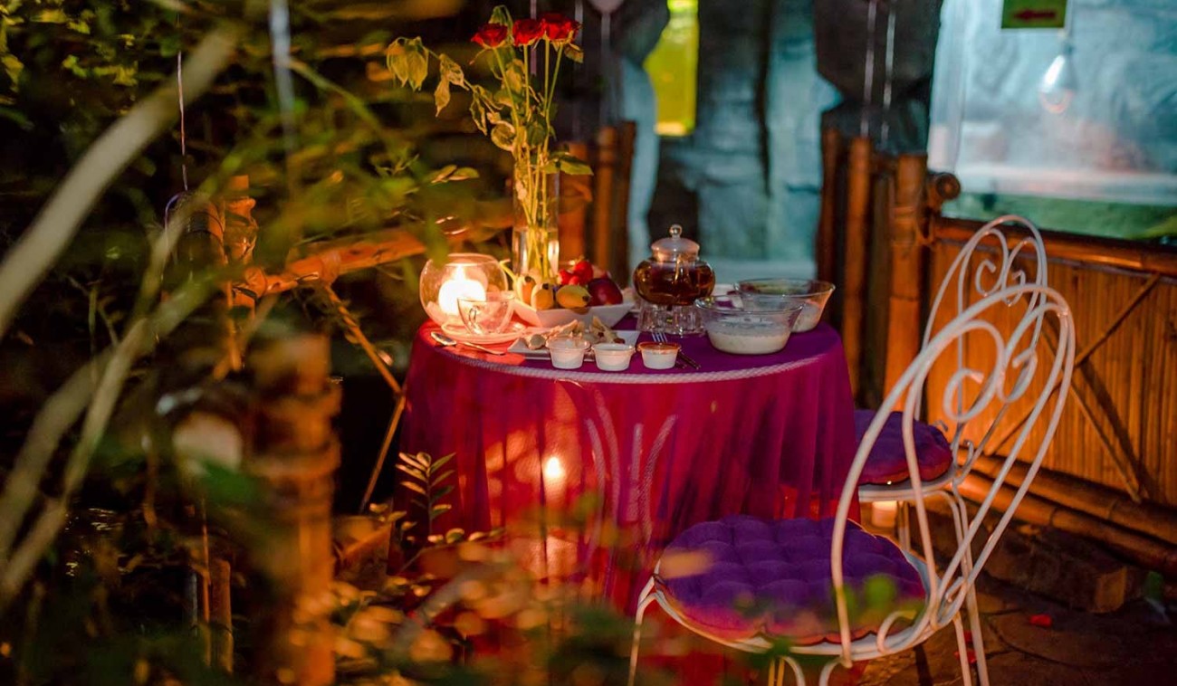 Романтический ужин в оранжерее