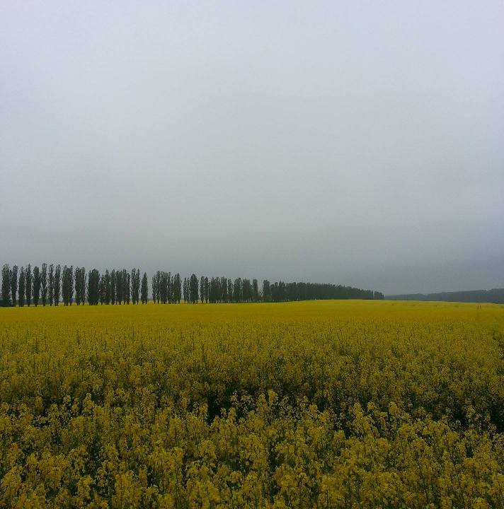  Виктор Мельник