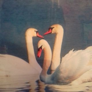 Анатольевич Лебедкін