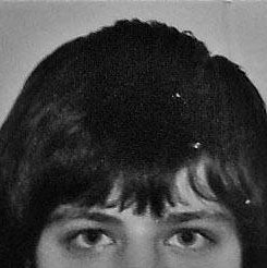 Всеволод Родин